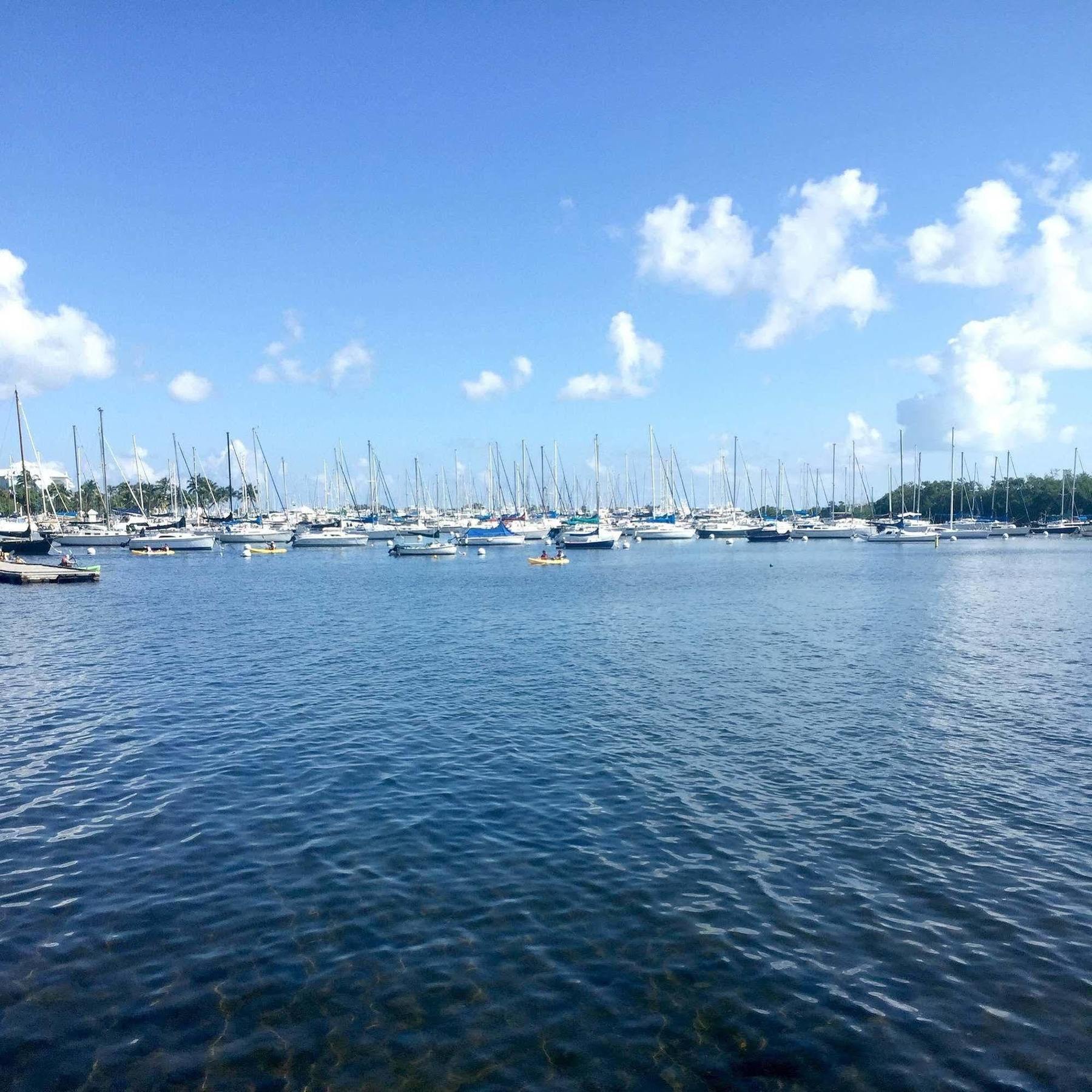 Pelicanstay In Coconut Grove Miami Coral Gables Εξωτερικό φωτογραφία